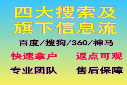 某电商平台信息流广告的精准推广策略